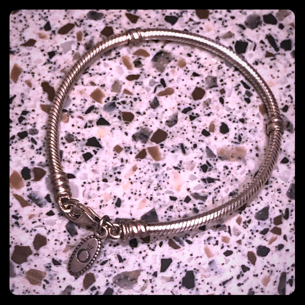 Pandora Charm Bracelet